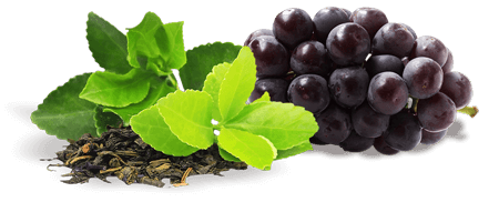 Ingriedients Cerebrozen